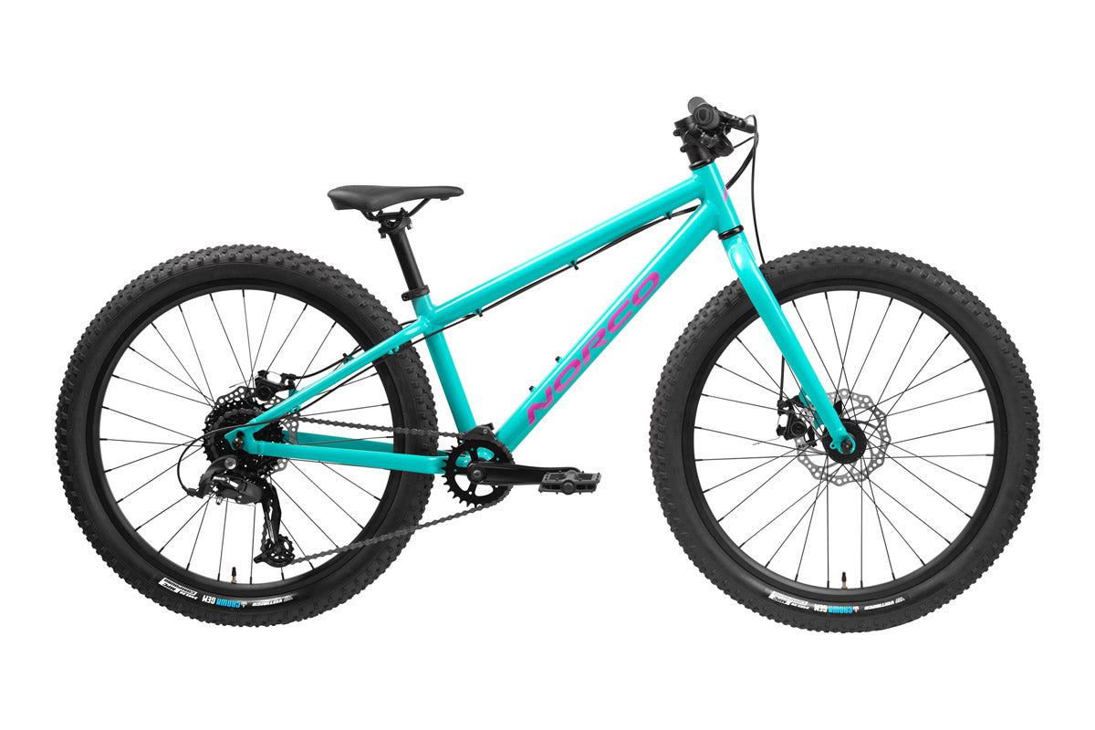 Teal 24 on sale inch bike
