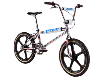 Skyway bmx bike hotsell